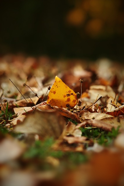 让全球消费 让全球消费