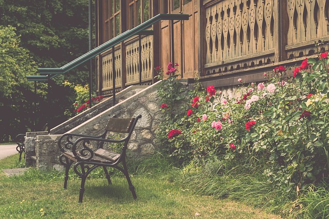 疑是球队的 疑是球队的