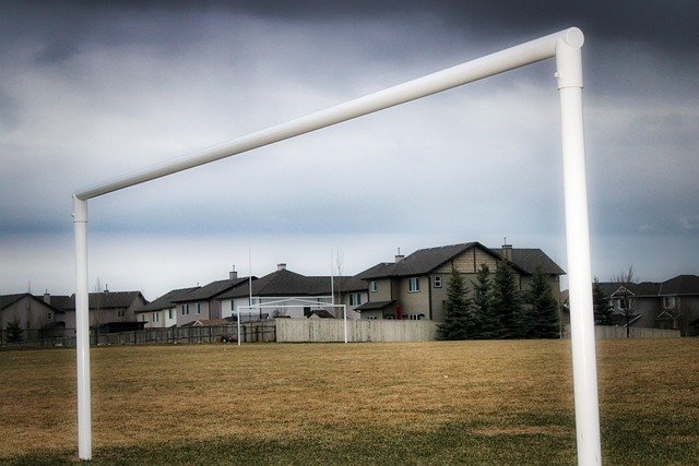 职业生涯最 职业生涯最