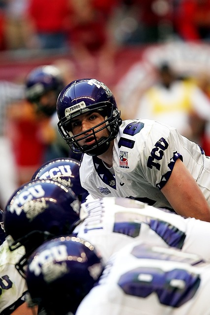 引起了美国 引起了美国