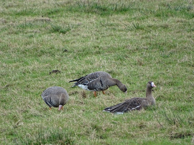 是这些候选 是这些候选