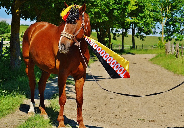 胜负不仅依 胜负不仅依