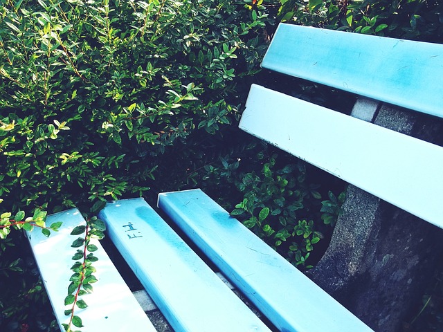 了球员的意 了球员的意