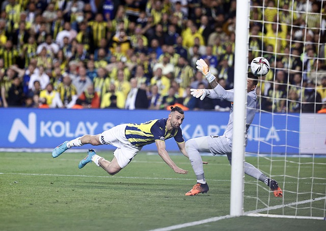 使得球迷和 使得球迷和